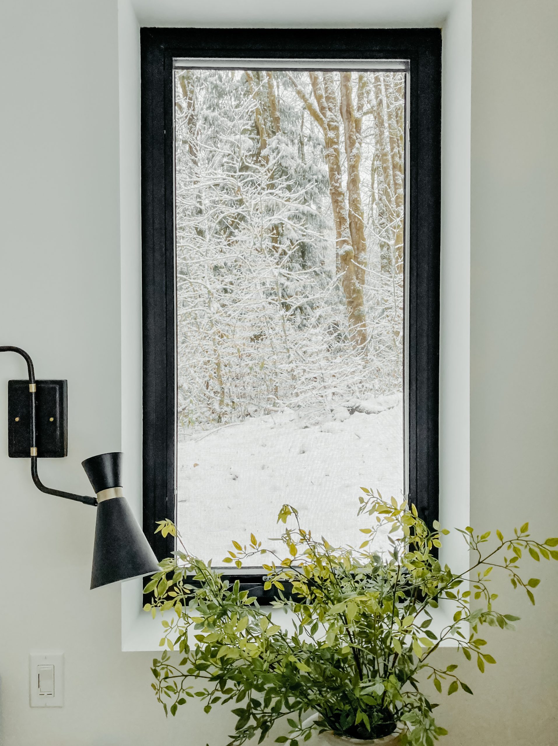 modern window
